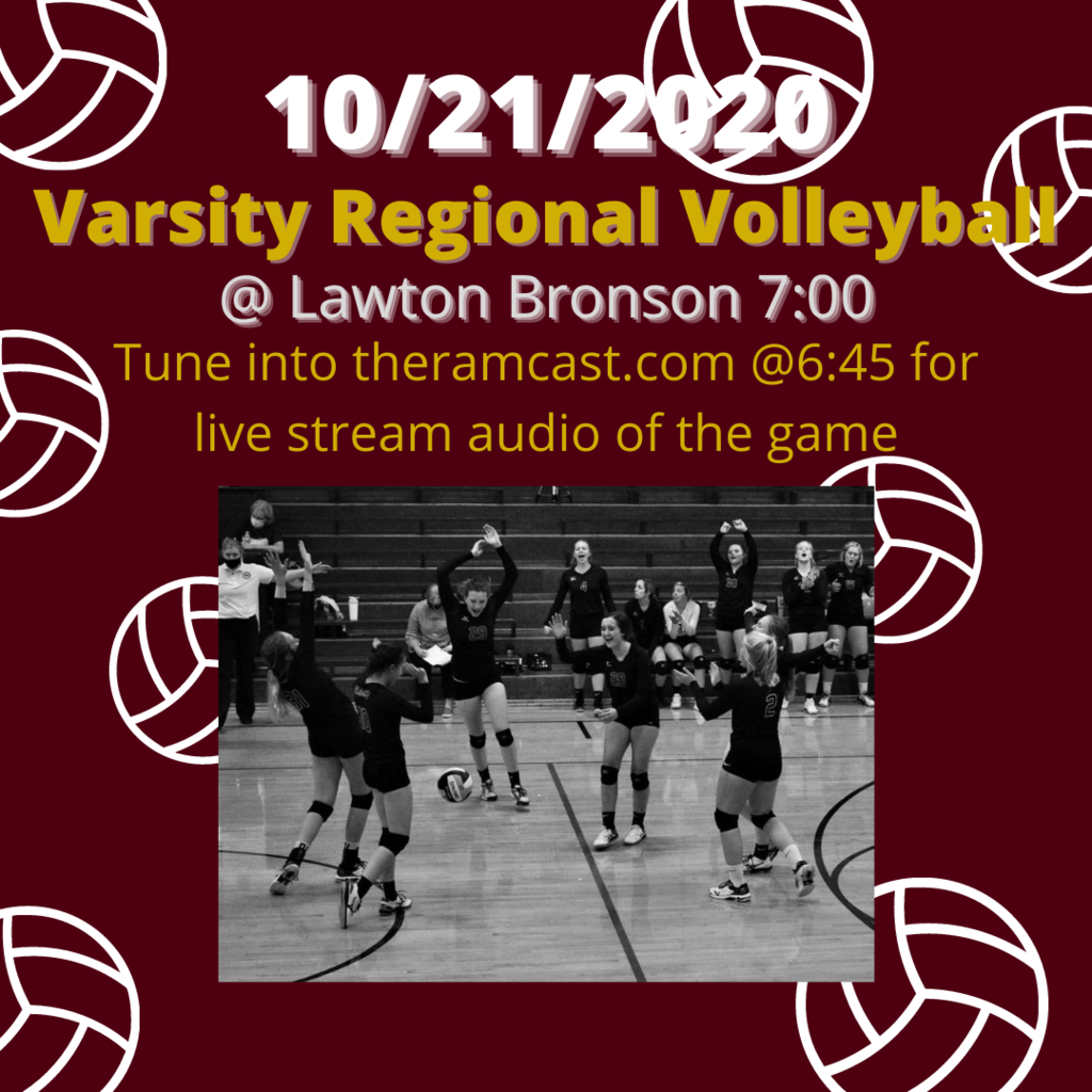 Volleyball