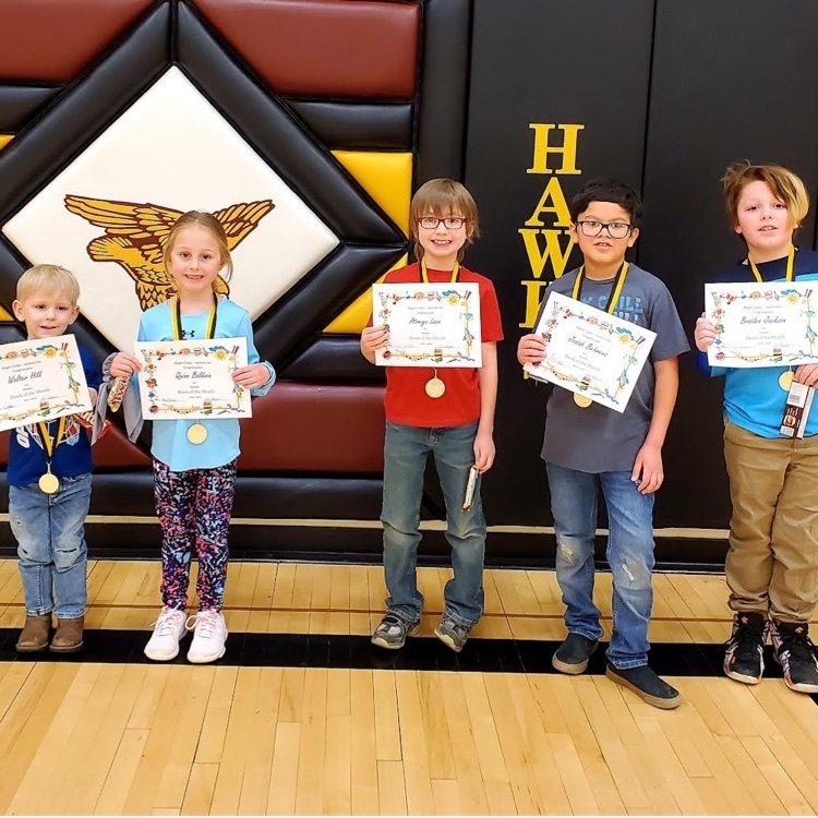 Hawks of the Month!